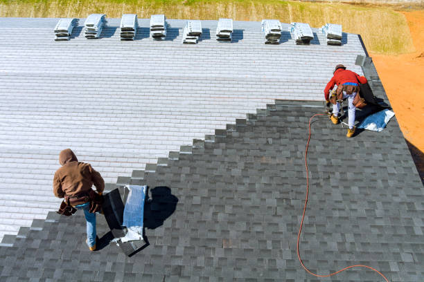 Best Roof Moss and Algae Removal  in Alderson, WV